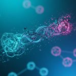 Chuỗi Liên Kết (Interchain) Là Gì? Toàn Tập Về Tương Tác Blockchain